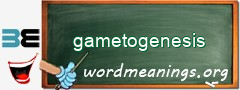 WordMeaning blackboard for gametogenesis